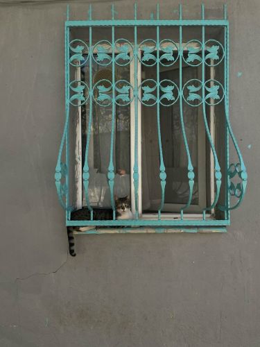 חלון עם סורגים